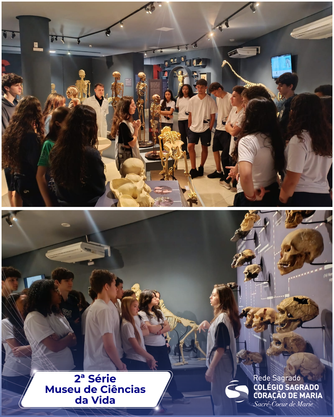 Estudantes visitam o Museu de Ciências da Vida da UFES