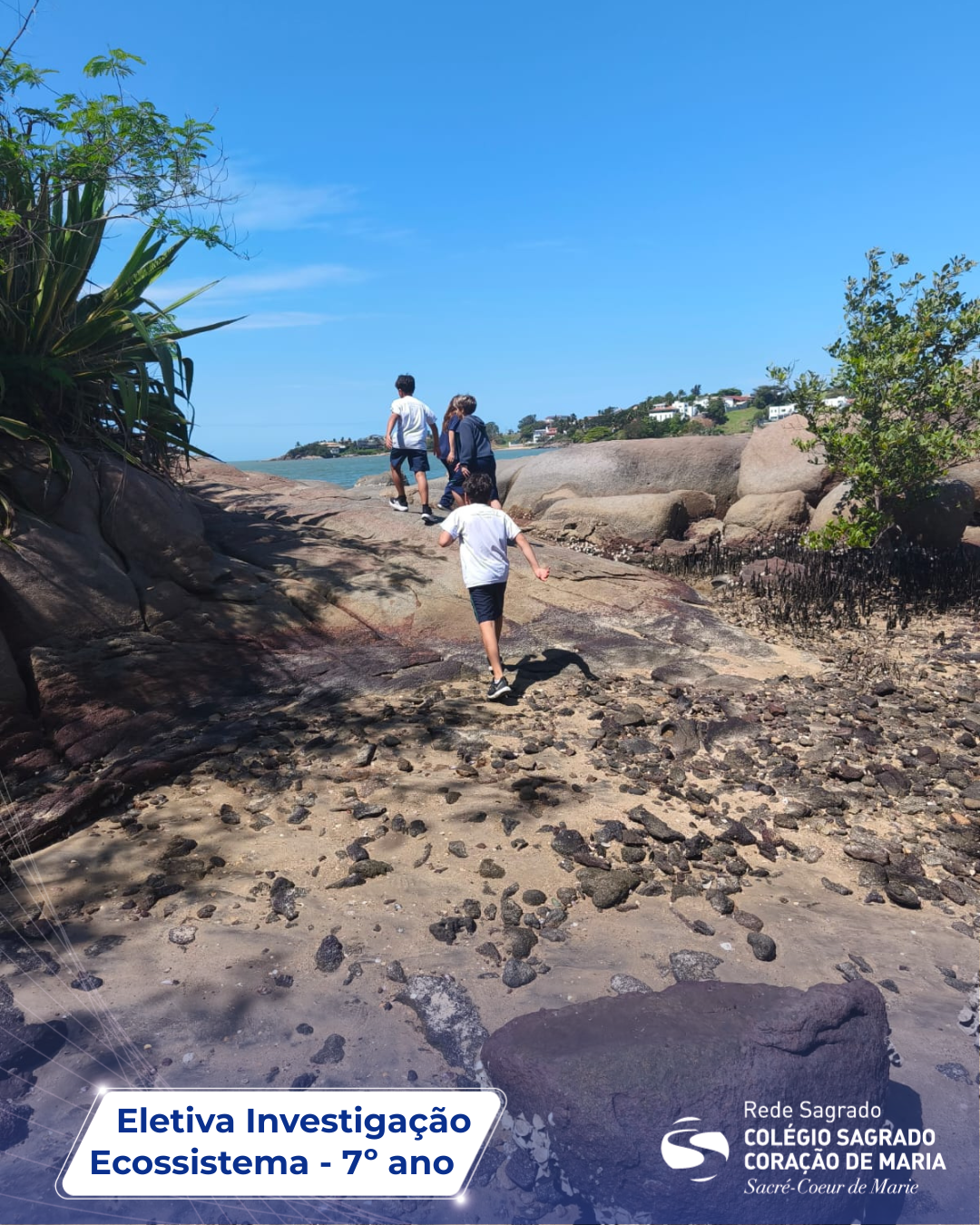 Estudantes encerram Eletiva com uma jornada de investigação e compromisso ambiental